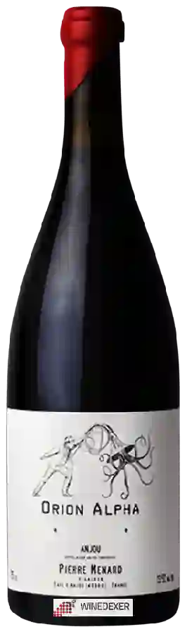 Winery Pierre Menard - Orion Alpha