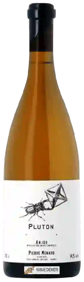 Winery Pierre Menard - Pluton