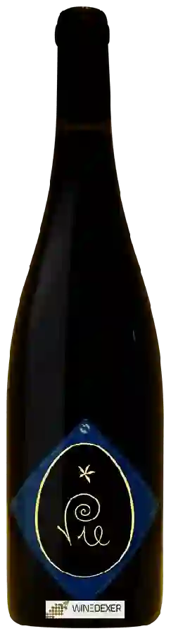 Domaine Clos Massotte - Vie Domaine Clos Massotte - Vie