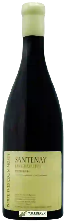 Winery Pierre-Yves Colin-Morey - Santenay Premier Cru 'Les Gravières'