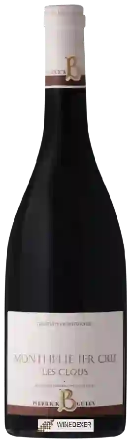 Winery Pierrick Bouley - Monthélie 1er Cru 'Les Clous' Winery Pierrick Bouley - Monthélie 1er Cru 'Les Clous'
