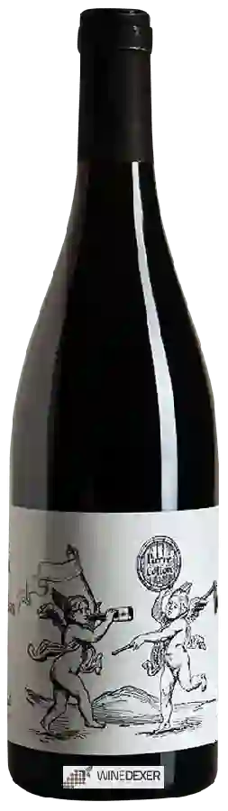 Winery Pierre Cotton - Beaujolais