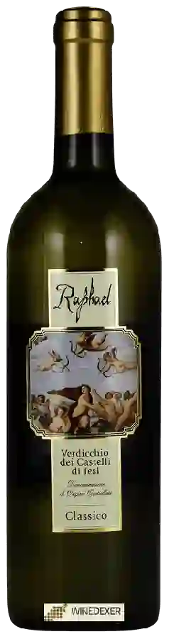 Winery Piersanti - Raphael Verdicchio dei Castelli di Jesi Classico