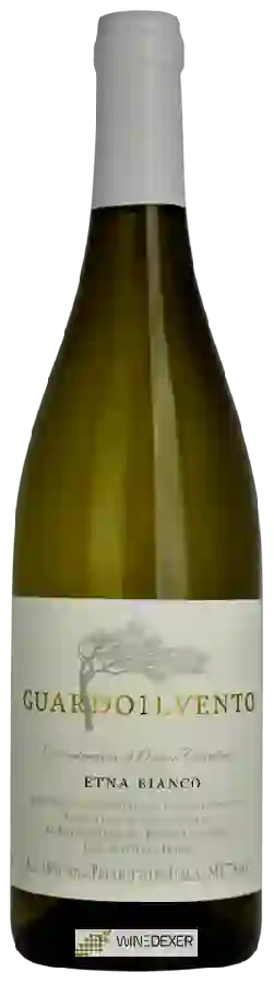 Winery Pietro Caciorgna - Guardoilvento Etna Bianco