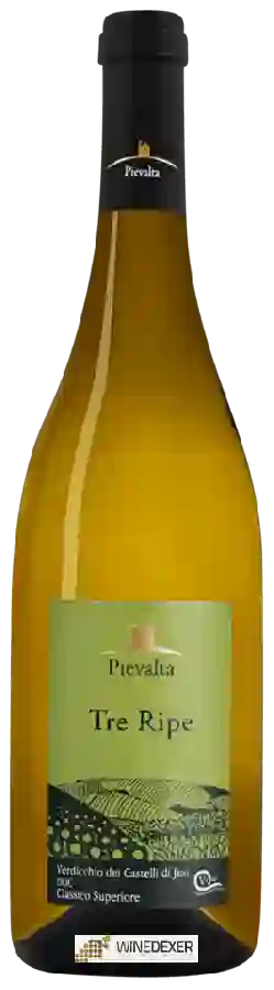 Winery Pievalta - Tre Ripe Verdicchio dei Castelli di Jesi Classico Superiore