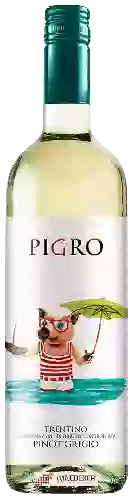 Winery Pigro - Pinot Grigio