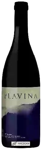 Winery Pilizota - Plavina