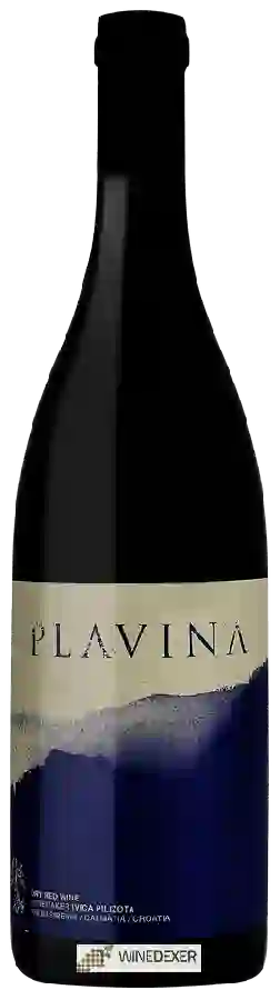 Winery Pilizota - Plavina