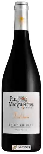 Winery Pin des Marguerites - Tradition Saint-Chinian