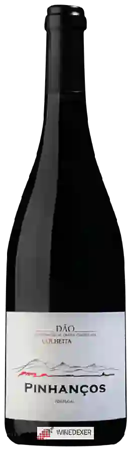 Winery Quinta de Pinhancos - Colheita Winery Quinta de Pinhancos - Colheita