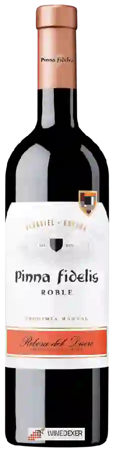 Winery Pinna Fidelis - Ribera del Duero Roble