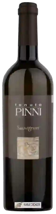 Winery Tenuta Pinni - Sauvignon Winery Tenuta Pinni - Sauvignon