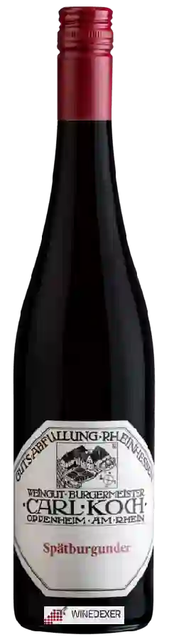 Weingut Bürgermeister Carl Koch - Spätburgunder Weingut Bürgermeister Carl Koch - Spätburgunder