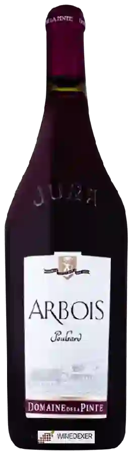 Domaine de la Pinte - Arbois Poulsard