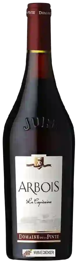 Domaine de la Pinte - La Capitaine Arbois