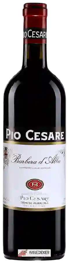 Winery Pio Cesare - Barbera d'Alba