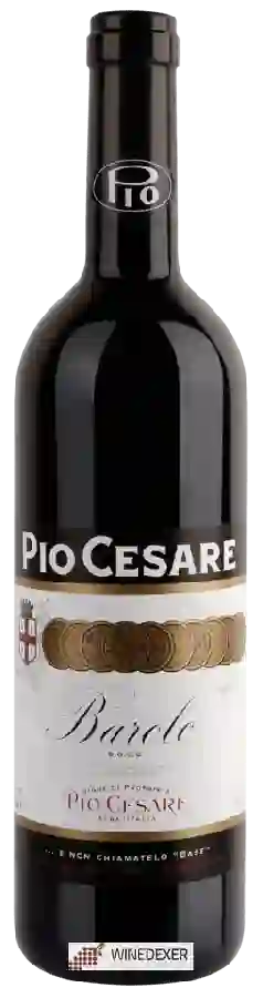 Winery Pio Cesare - Barolo Winery Pio Cesare - Barolo