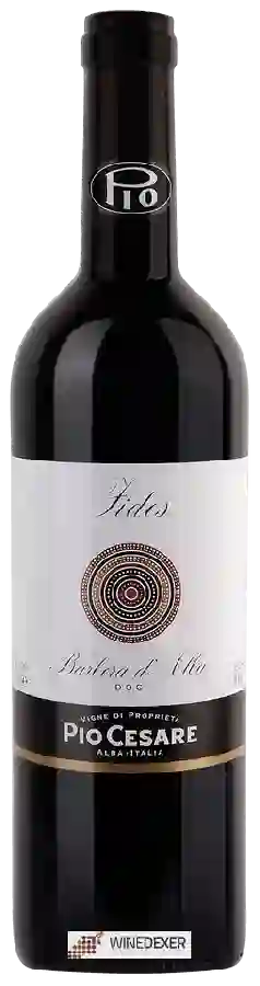 Winery Pio Cesare - Fides Barbera d'Alba