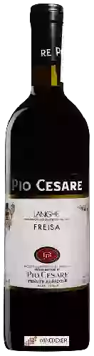 Winery Pio Cesare - Freisa