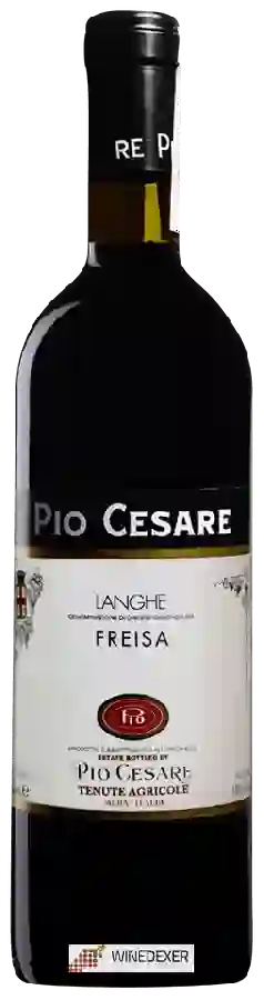 Winery Pio Cesare - Freisa