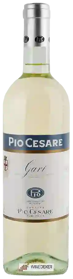 Winery Pio Cesare - Gavi (Cortese di Gavi)