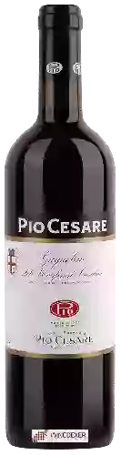 Winery Pio Cesare - Grignolino del Monferrato Casalese
