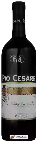 Winery Pio Cesare - Nebbiolo d'Alba