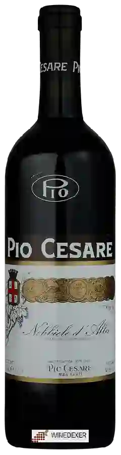 Winery Pio Cesare - Nebbiolo d'Alba Winery Pio Cesare - Nebbiolo d'Alba