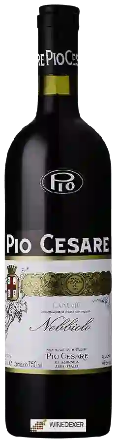 Winery Pio Cesare - Nebbiolo