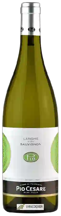 Winery Pio Cesare - Sauvignon