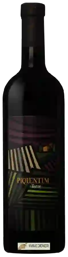 Winery Piquentum - Terre Winery Piquentum - Terre