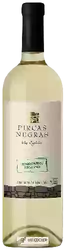 Winery Pircas Negras - Torrontés