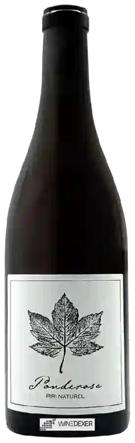 Winery Piri Naturel - Ponderosa Winery Piri Naturel - Ponderosa