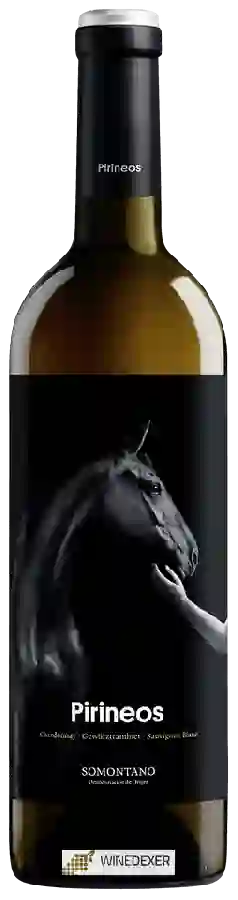 Bodega Pirineos - Chardonnay - Gewürztraminer - Sauvignon Blanc Bodega Pirineos - Chardonnay - Gewürztraminer - Sauvignon Blanc