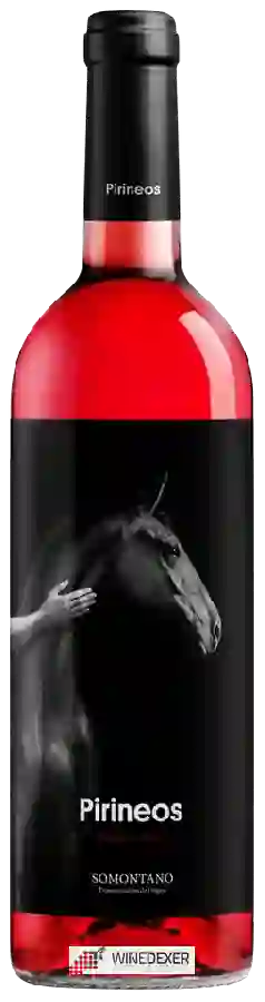 Bodega Pirineos - Merlot - Cabernet Rosado Bodega Pirineos - Merlot - Cabernet Rosado