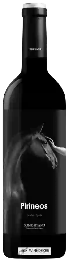 Bodega Pirineos - Merlot - Syrah