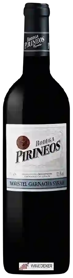 Bodega Pirineos - Moristel - Garnacha - Syrah