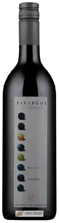 Bodega Pirineos - Moristel - Garnacha