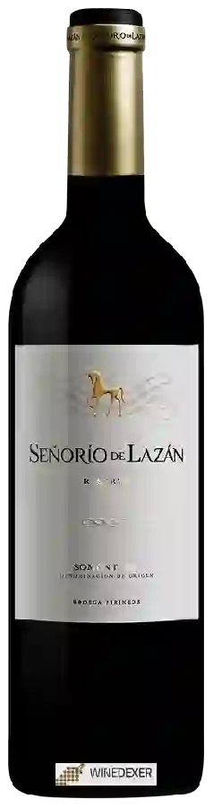 Bodega Pirineos - Se&ntildeor&iacuteo De Laz&aacuten Reserva