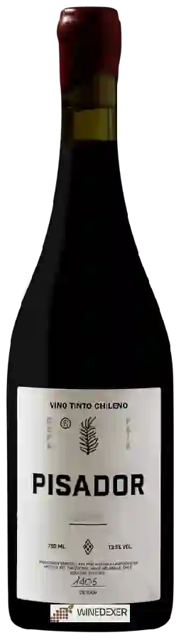 Winery Pisador - Tinto Winery Pisador - Tinto