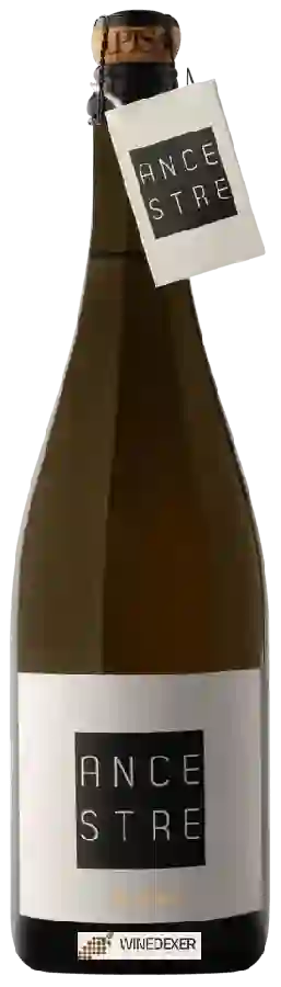 Winery Pisan-Battèl - Ancestre Pas dosé