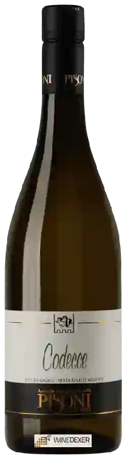 Winery Azienda Agricola Pisoni - Codecce