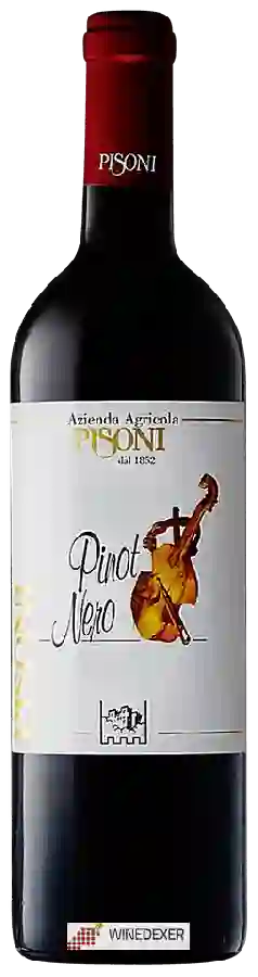 Winery Azienda Agricola Pisoni - Pinot Nero