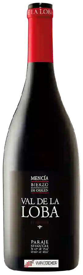 Winery Pittacum - Val De La Loba Mencia