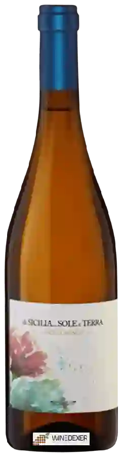 Winery Pittore Contadino - Di Sicilia...Sole e Terra Bianco Winery Pittore Contadino - Di Sicilia...Sole e Terra Bianco