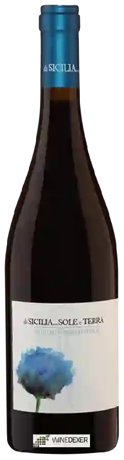 Winery Pittore Contadino - Di Sicilia...Sole e Terra Nero d'Avola Winery Pittore Contadino - Di Sicilia...Sole e Terra Nero d'Avola