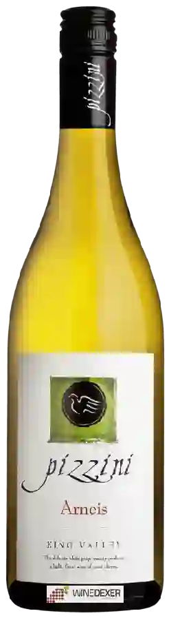 Winery Pizzini - Arneis
