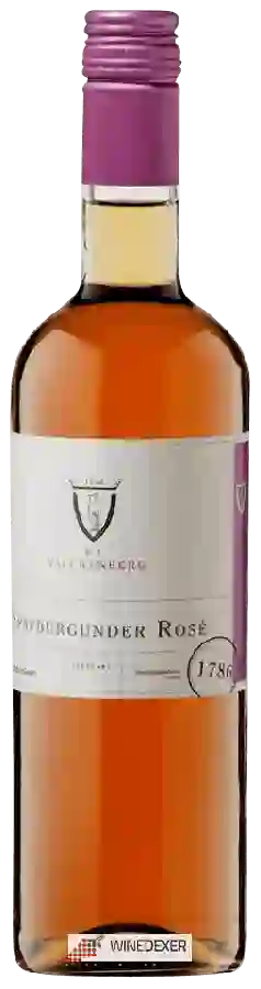 Winery P. J. Valckenberg - Spätburgunder Halbtrocken Rosé