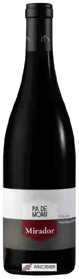 Winery Pla de Morei - Mirador