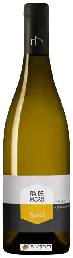 Winery Pla de Morei - Saial